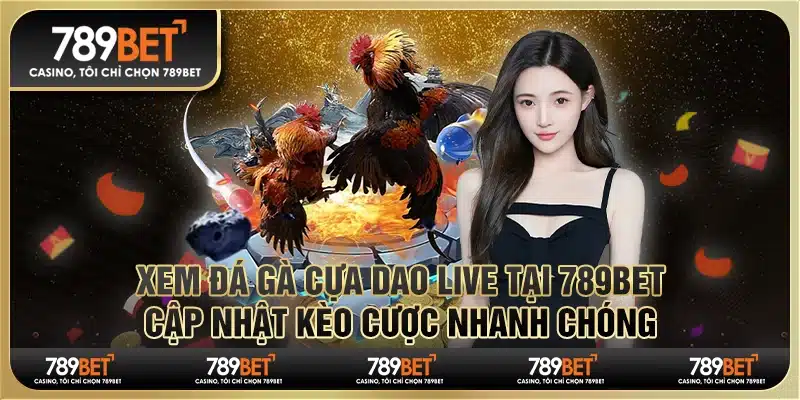 Xem đá gà cựa dao live tại 789Bet: Cập nhật kèo cược nhanh chóng